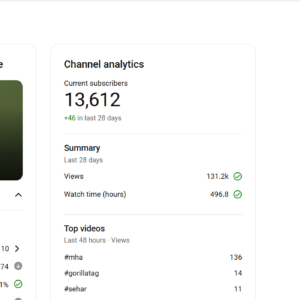 Entertainment youtube channel for sale