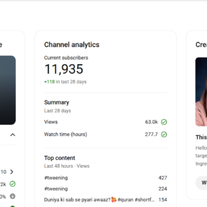 entertainment youtube channel for sale