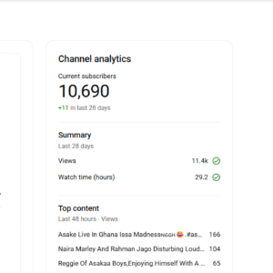 vlogs youtube channel for sale, buy vlog youtube channel