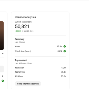 Entertainment youtube channel for sale, buy entertainment youtube channel