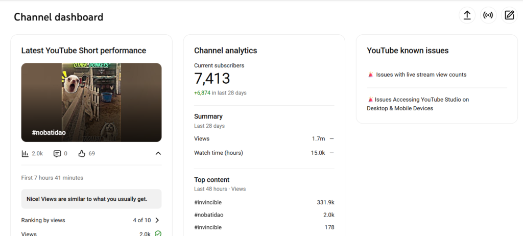 Comedy youtube channel for sale